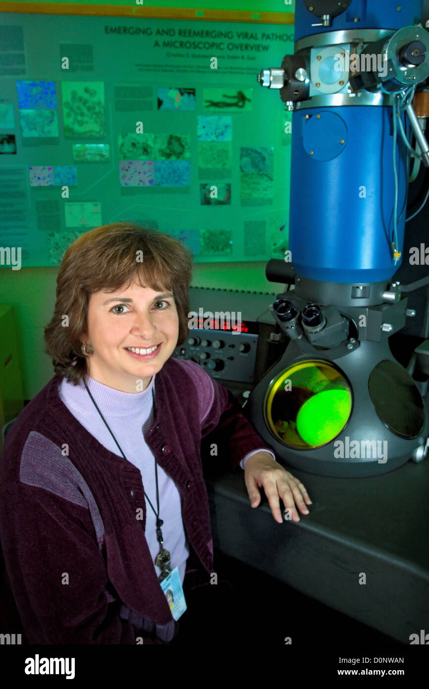 Cynthia Goldsmith CDC biologo ricerca electron microscopist è seduto di fronte al microscopio elettronico a trasmissione. Durante Foto Stock