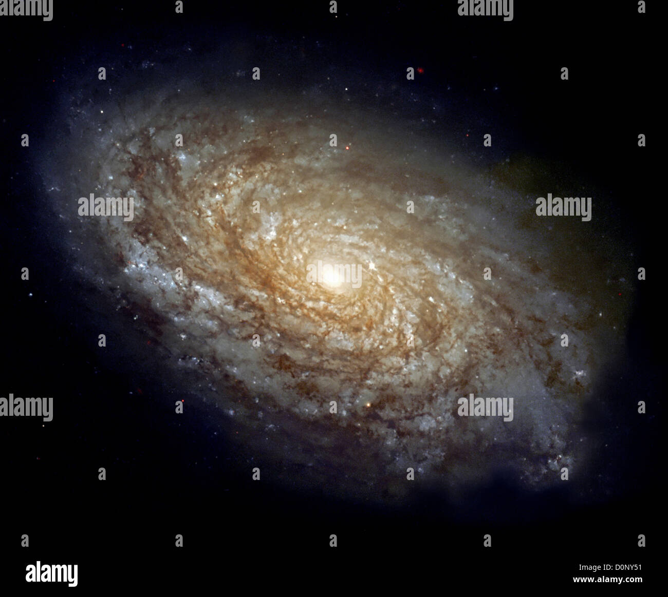 Ritratto di una galassia a spirale Foto Stock