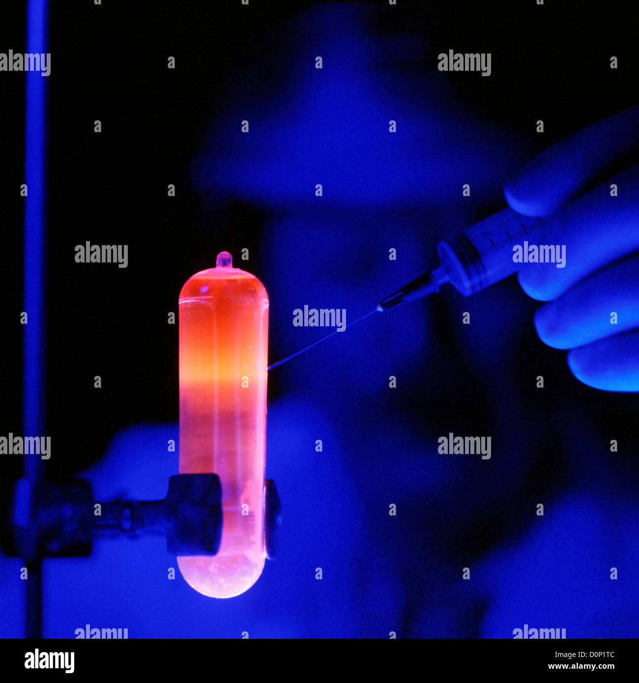 Il DNA purificato arancione di fluorescenza sotto la luce UV viene estratto utilizzato studi di biologia molecolare. DNA purificato in cloruro di cesio Foto Stock