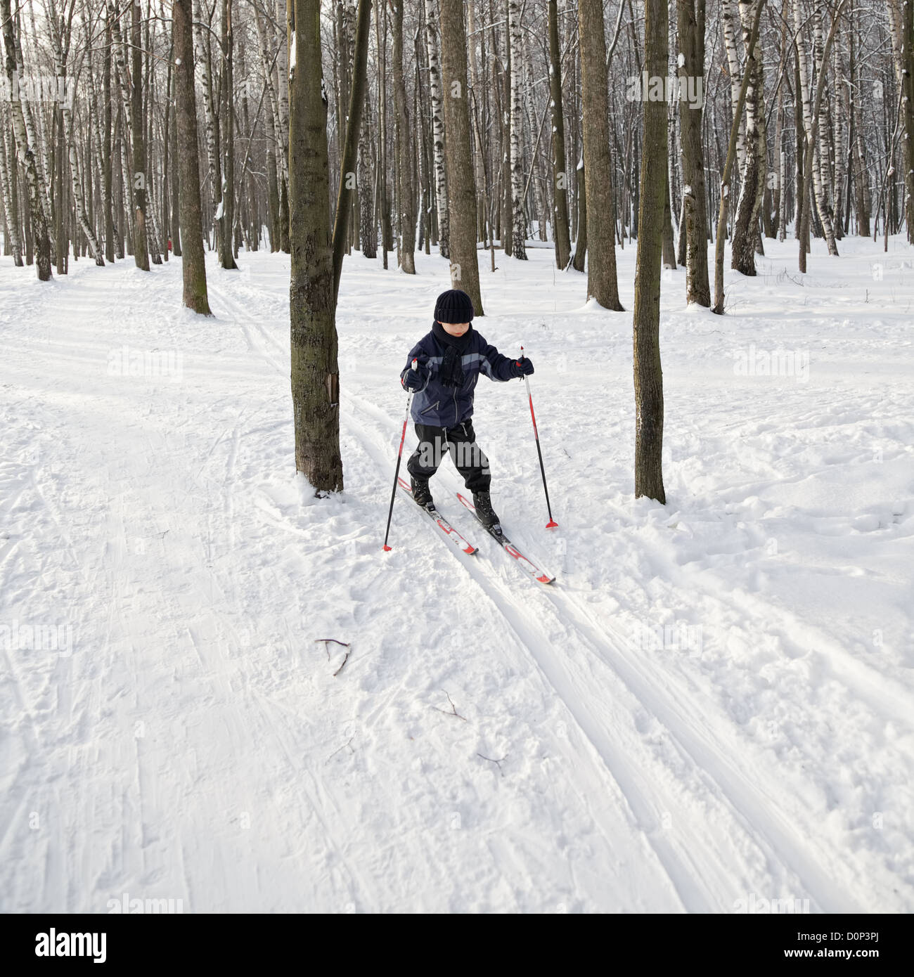 Ragazzo in esecuzione sugli sci in inverno forest Foto Stock