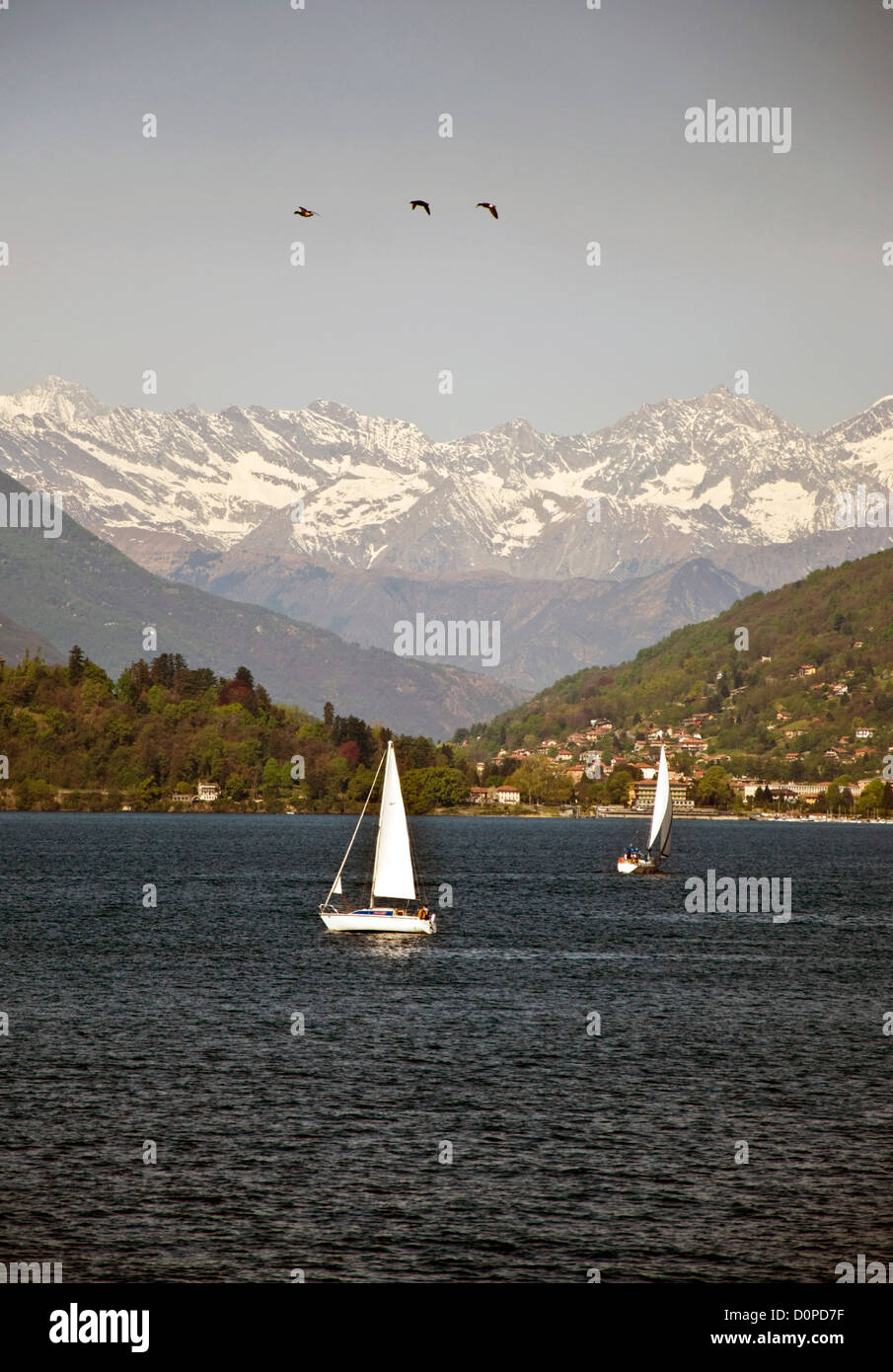 Barca a vela sul Lago Maggiore Foto Stock