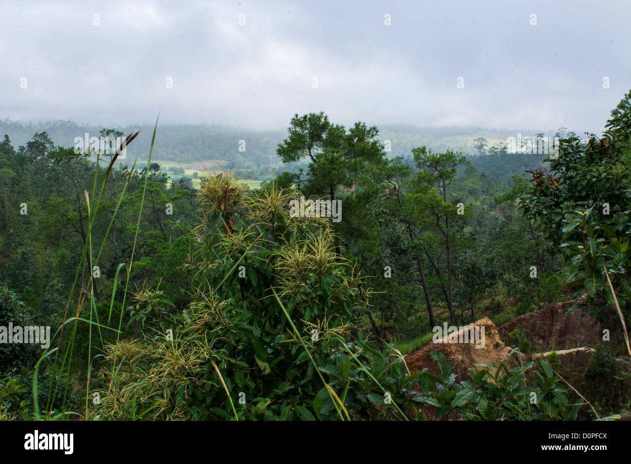 Konglom Canyon in Wianghaeng, Chiangmai Thailandia Foto Stock