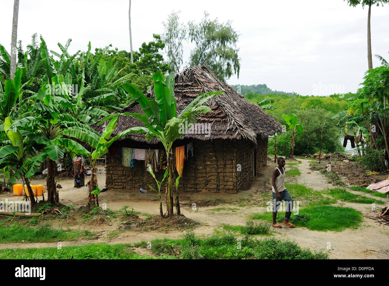 Villaggio locale sulla isola di Pemba, Tanzania Africa orientale Foto Stock