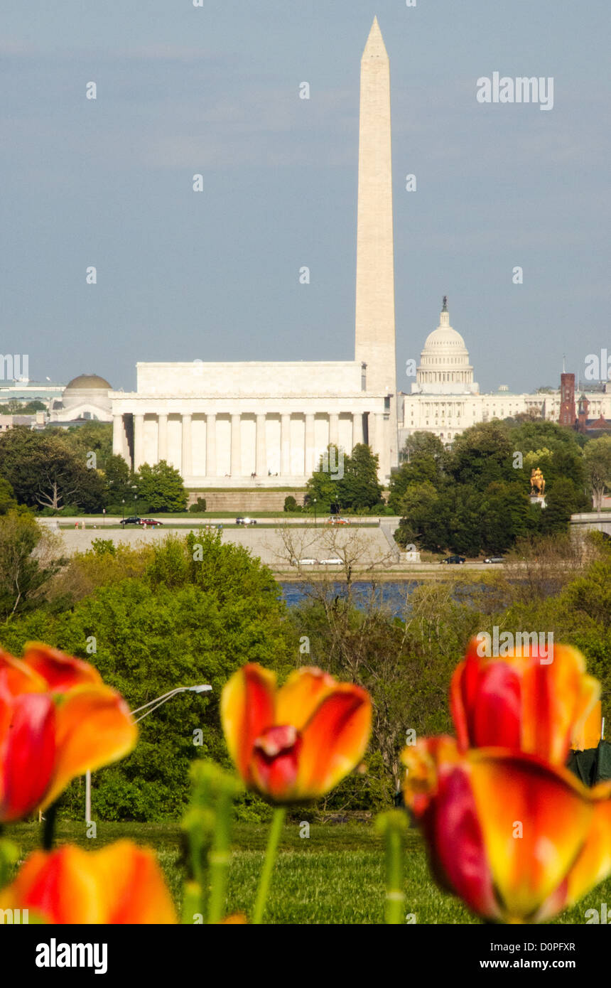 WASHINGTON DC, Stati Uniti d'America - arancione e rosso tulipani in primo piano con il Lincoln Memorial, il Monumento a Washington e il Campidoglio US Dome come colpo da attraverso il fiume Potomac guardando ad est da Rosslyn, Virginia, accanto al Cimitero di Arlington. Foto Stock