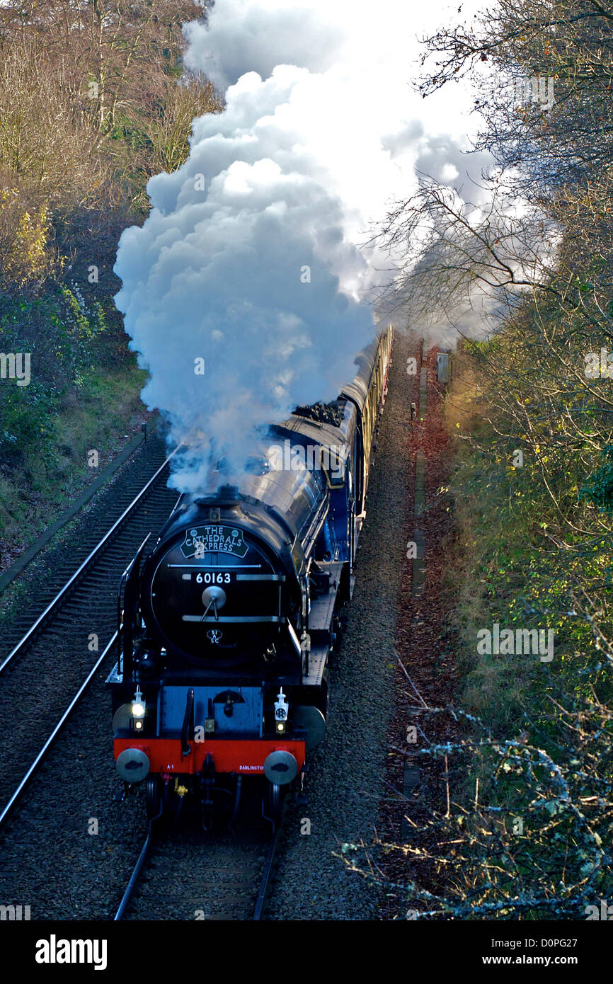 Colline del Surrey, Regno Unito. Nella sua nuova livrea blu, la 60163 LNER A1 classe 4-6-2 Tornado locomotiva a vapore "cattedrali Express' Convoglio ferroviario nella foto alimentare fuori della nebbia al di sotto di una testa piena di vapore in quanto esso accelera al di fuori della stazione di Reigate, Surrey e velocità attraverso le colline del Surrey en route da Victoria a Bristol Temple Meads 1050hrs giovedì 29 novembre 2012 Foto Stock