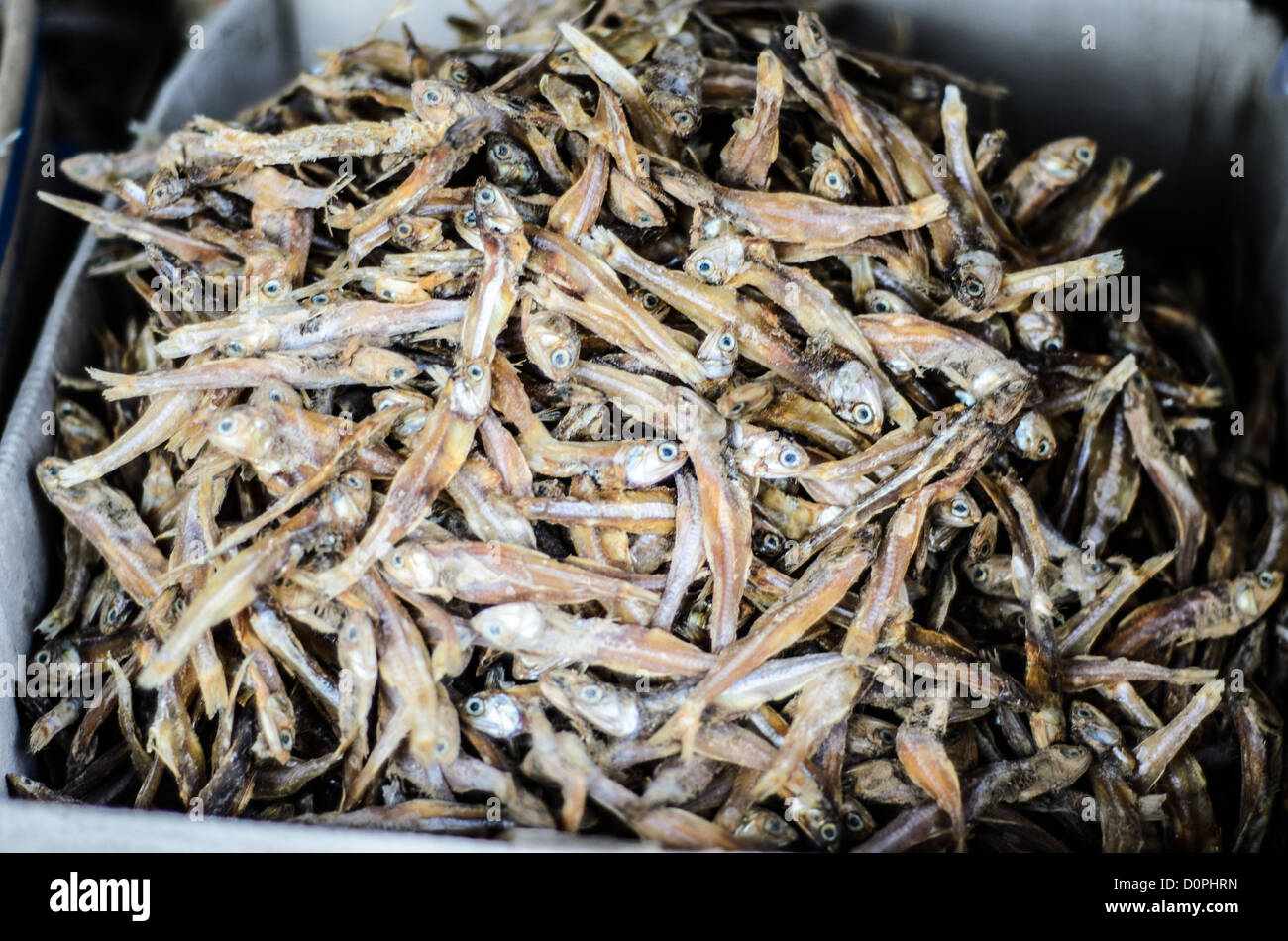 Pesce salato essiccato Phonsavan Laos // PHONSAVAN, Laos — piccoli pesci secchi e salati sono esposti in vendita al mercato mattutino di Phonsavan, una città nel nord-est del Laos. Il mercato funge da centro commerciale centrale per la regione circostante, dove i venditori offrono vari cibi conservati e prodotti locali. Phonsavan si trova nella provincia di Xieng Khouang e funge da capitale provinciale, situata sull'altopiano della piana di Jars. L'area è conosciuta per la sua significativa popolazione Hmong, uno dei principali gruppi etnici del Laos. La città fu ricostruita nel 1970 e funge da importante centro commerciale Foto Stock