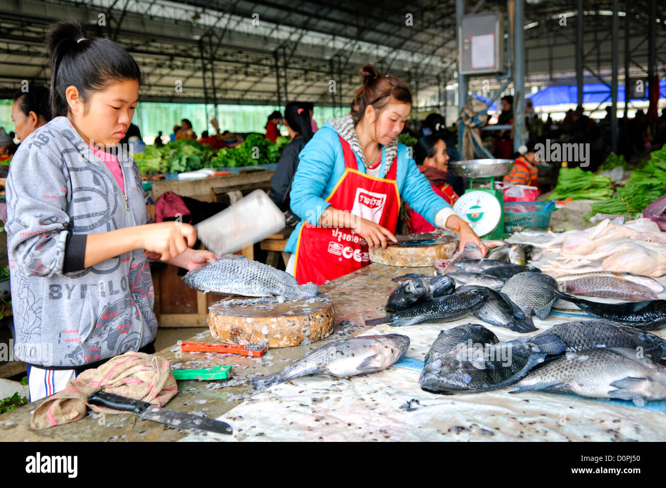 Venditori di pesce Sam Neua Laos // SAM NEUA, Laos - le giovani donne preparano il pesce per la vendita al mercato mattutino di Sam Neua, una città nel nord-est del Laos vicino al confine vietnamita. Sam Neua, scritto anche Samneua, Xamneua e Xam Neua, è la capitale della provincia di Houaphanh ed è noto per i suoi mercati tradizionali dove i venditori locali vendono prodotti freschi e merci. Senza refrigerazione, i prodotti deperibili come pesce e carne devono essere venduti la mattina presto per garantire la freschezza. I mercati della città riflettono i tradizionali modelli commerciali comuni in tutto il Laos rurale, dove il cibo fresco è tipicamente di Foto Stock