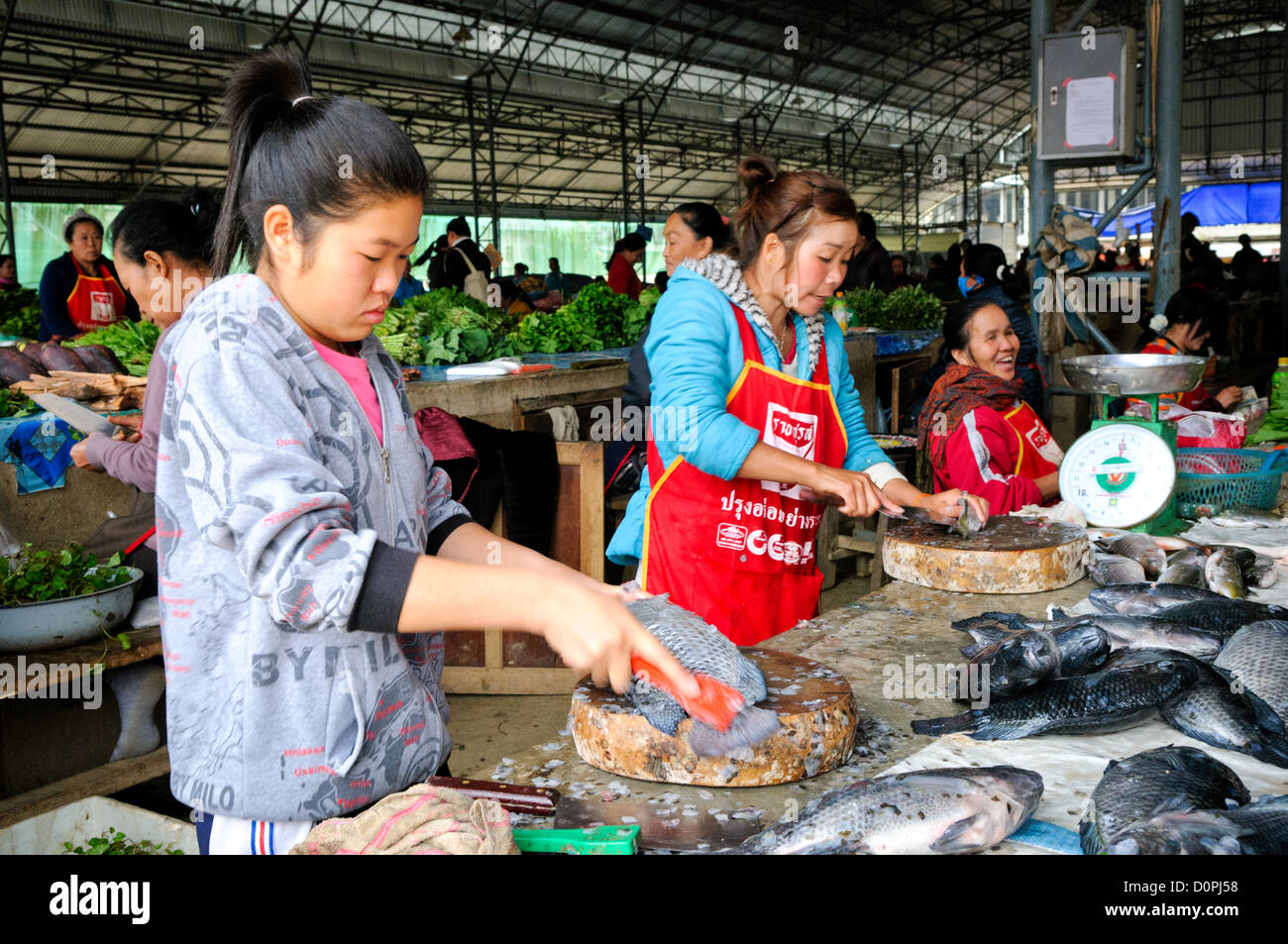 Mercato del pesce mattina Sam Neua Laos // SAM NEUA, Laos - le giovani donne preparano il pesce per la vendita al mercato mattutino di Sam Neua, una città nel nord-est del Laos vicino al confine vietnamita. Sam Neua, scritto anche Samneua, Xamneua e Xam Neua, è la capitale della provincia di Houaphanh ed è noto per i suoi mercati tradizionali dove i venditori locali vendono prodotti freschi e merci. Senza refrigerazione, i prodotti deperibili come pesce e carne devono essere venduti la mattina presto per garantire la freschezza. I mercati della città riflettono i tradizionali modelli commerciali comuni in tutto il Laos rurale, dove il cibo fresco è tipicamente di Foto Stock