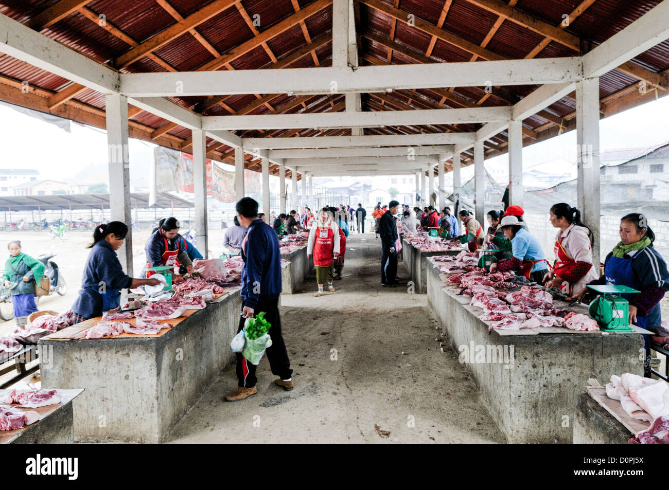 Mercato della carne fresca Sam Neua Laos // SAM NEUA, Laos — carne fresca in vendita al mercato mattutino di Sam Neua, una città nel nord-est del Laos vicino al confine vietnamita. Sam Neua, scritto anche Samneua, Xamneua e Xam Neua, è la capitale della provincia di Houaphanh. La città si trova in una regione montuosa conosciuta per le sue grotte e il suo significato storico durante la seconda guerra d'Indocina. I mercati alimentari locali come questo sono centrali per il commercio quotidiano nelle comunità rurali laotiane, dove i venditori vendono prodotti freschi e carne la mattina presto. Senza refrigerazione disponibile, prodotti deperibili come la carne A. Foto Stock
