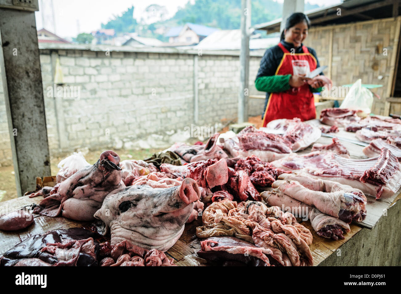 Carne fresca al mercato mattutino Sam Neua Laos // SAM NEUA, Laos — carne fresca in vendita al mercato mattutino di Sam Neua, una città nel nord-est del Laos vicino al confine vietnamita. Sam Neua, scritto anche Samneua, Xamneua e Xam Neua, è la capitale della provincia di Houaphanh. La città si trova in una regione montuosa conosciuta per le sue grotte e il suo significato storico durante la seconda guerra d'Indocina. I mercati alimentari locali come questo sono centrali per il commercio quotidiano nelle comunità rurali laotiane, dove i venditori vendono prodotti freschi e carne la mattina presto. Senza refrigerazione disponibile, prodotti deperibili Foto Stock