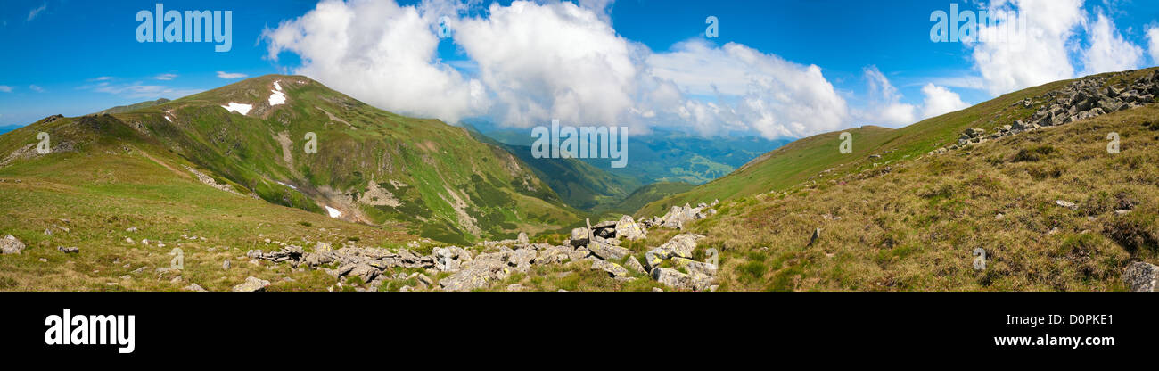 Estate paesaggio di montagna Foto Stock