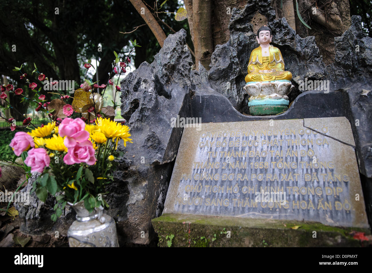 HANOI, Vietnam - Un piccolo shrone siede in un nodose vecchio albero accanto alla Pagoda su un Pilastro. La storica, piccola Pagoda su un pilastro si trova nel centro di un piccolo laghetto vicino al Museo Ho Chi Minh nel Ba Dinh district di Hanoi. Si tratta di uno dei più famosi templi in Vietnam e risale al XI secolo. Foto Stock