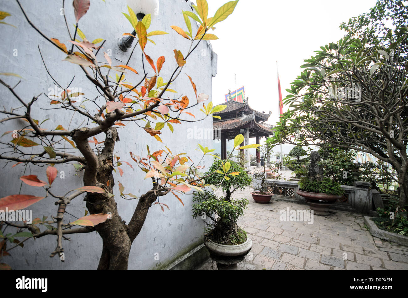 Ngoc Son Temple Trees Hanoi Vietnam // HANOI, Vietnam — alberi all'esterno del Tempio della montagna di Giada (Ngoc Son Temple) sul lago Hoan Kiem nel cuore del centro storico di Hanoi. Il tempio è stato fondato sulla piccola isola di Jade vicino alla riva settentrionale del lago nel XVIII secolo ed è in onore del leader militare del XIII secolo Tran Hung Dao. Foto Stock