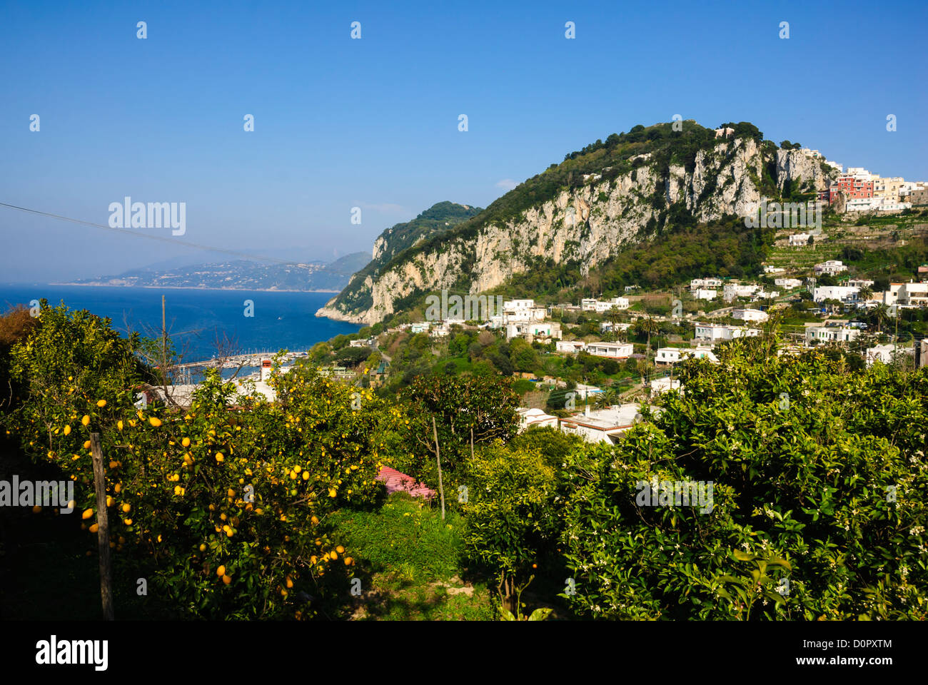 Isola di Capri, Capri, provincia di Napoli, Campania, Italia, Europa Foto Stock