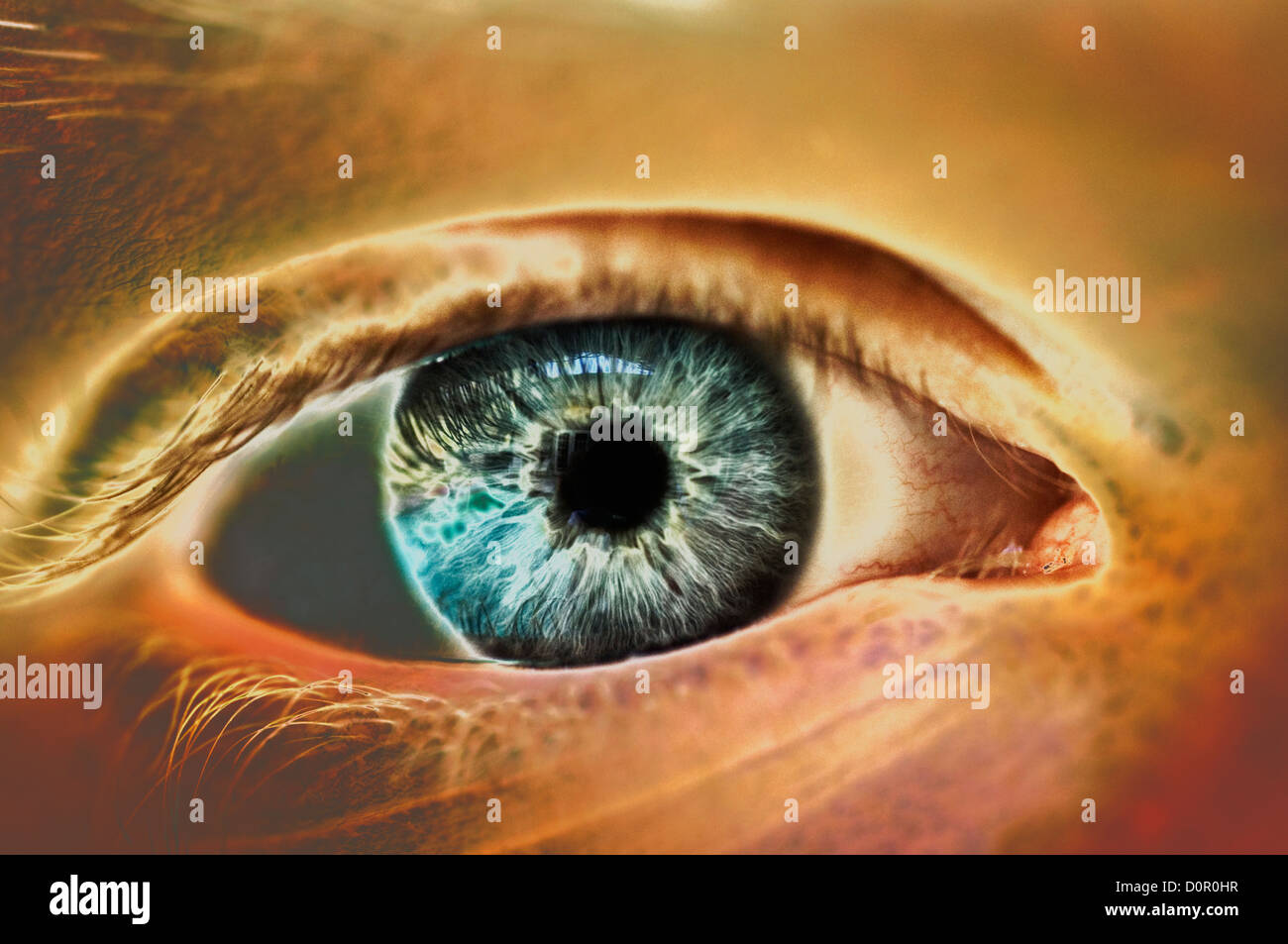 Computer immagine generata dell occhio umano closeup Foto Stock