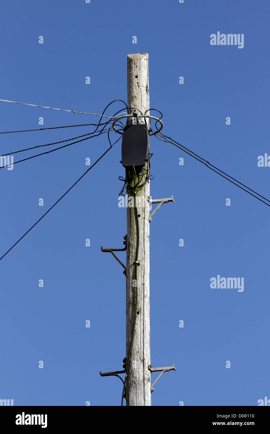 Un palo del telegrafo che ospita molti fili e una scatola di giunzione,supporto di telecomunicazioni locale. Foto Stock