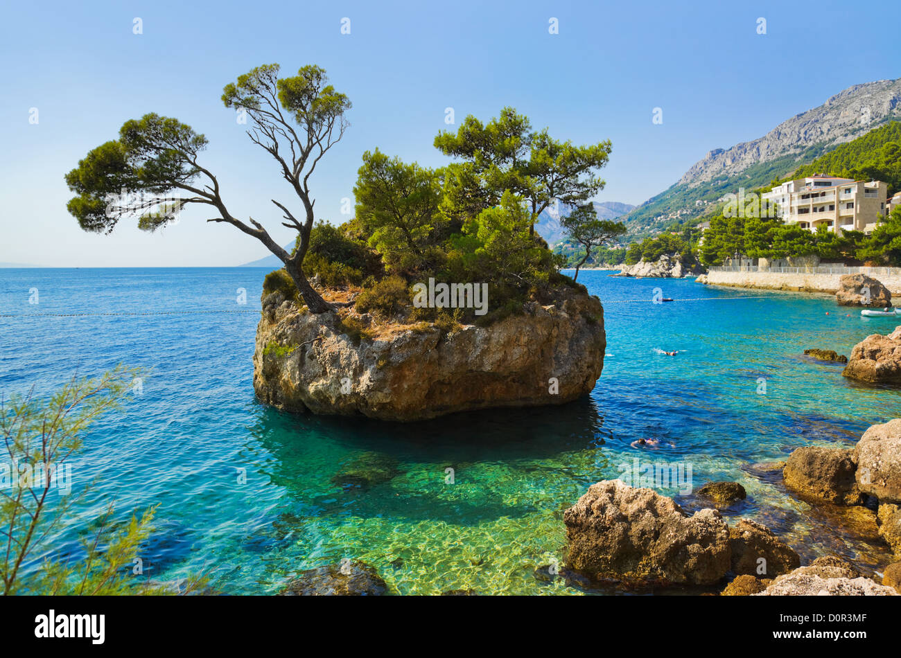 Isola e alberi in Brela, Croazia Foto Stock