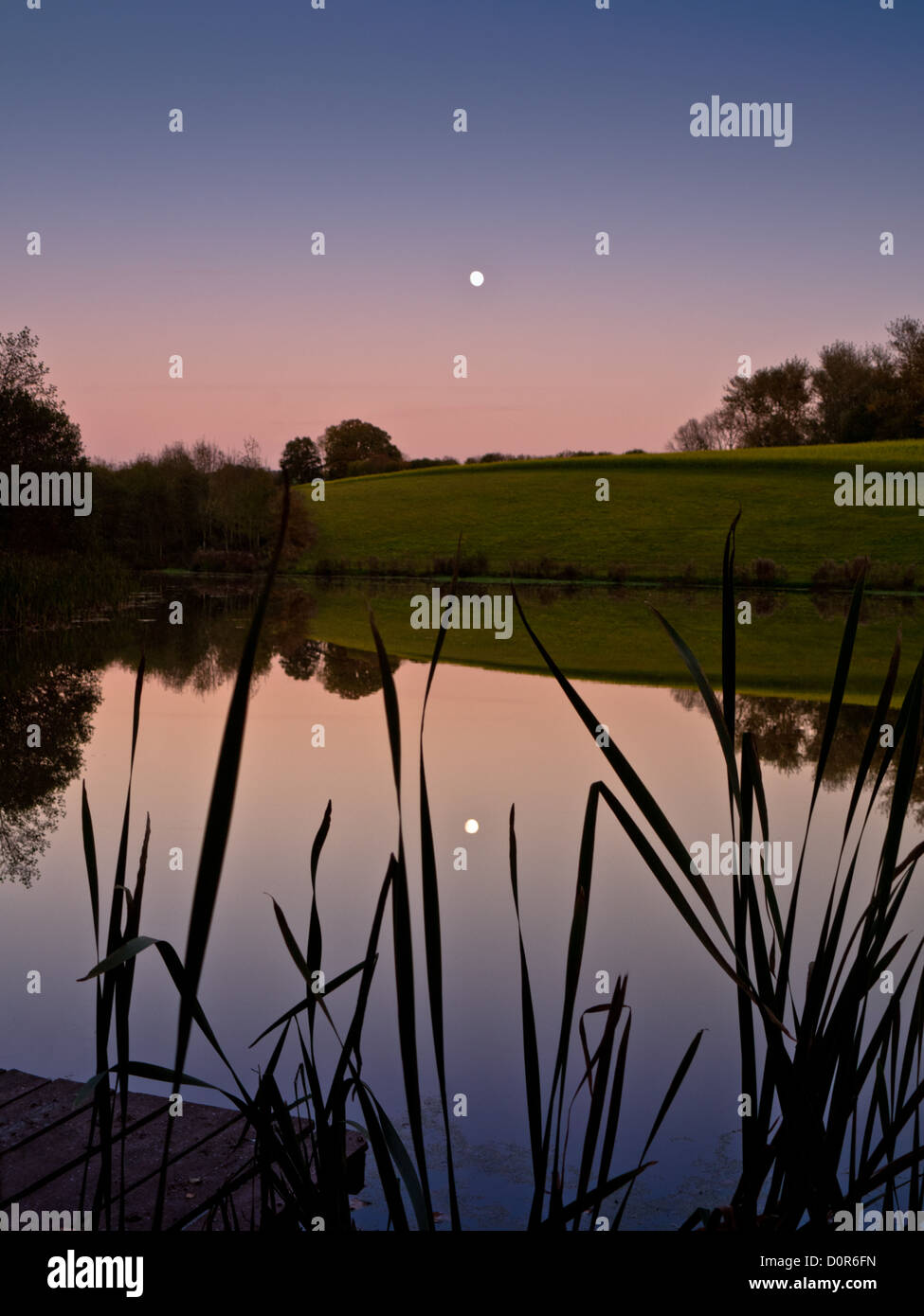 Specchio come la superficie del lago per la pesca sportiva a Rochford, vicino a Tenbury Wells, riflettendo il crescente di luna la notte tempo. Il lago è ben rifornita di carpe. Foto Stock