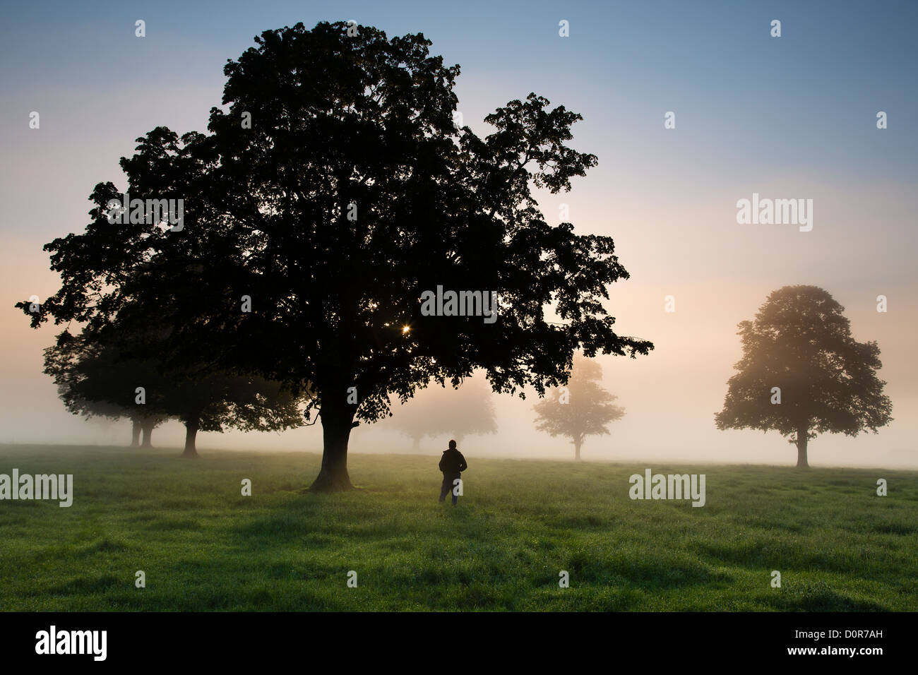 Un fotografo in un campo in una nebbiosa mattina vicino a Milborne Port, Somerset, Inghilterra, Regno Unito Foto Stock