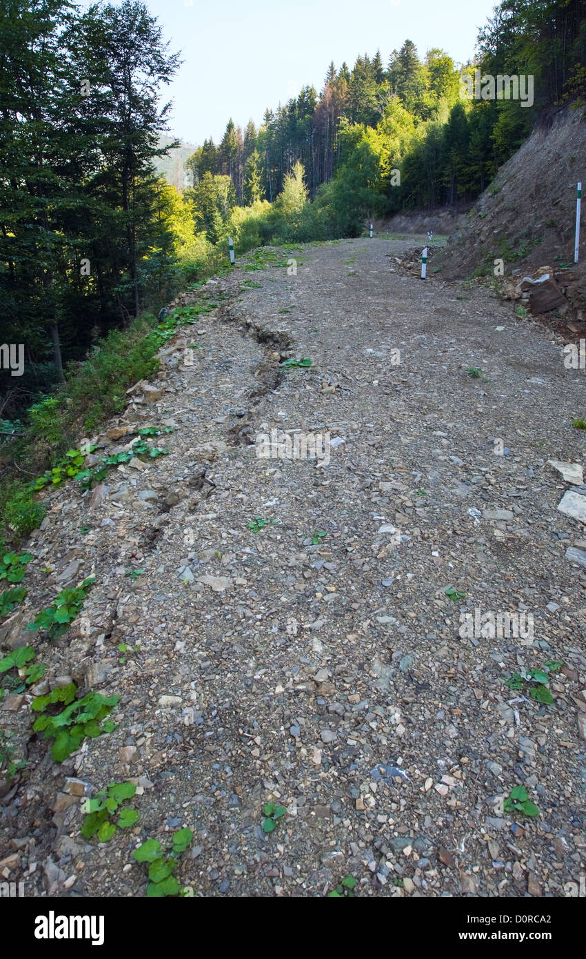 Estate paesaggio di montagna Foto Stock