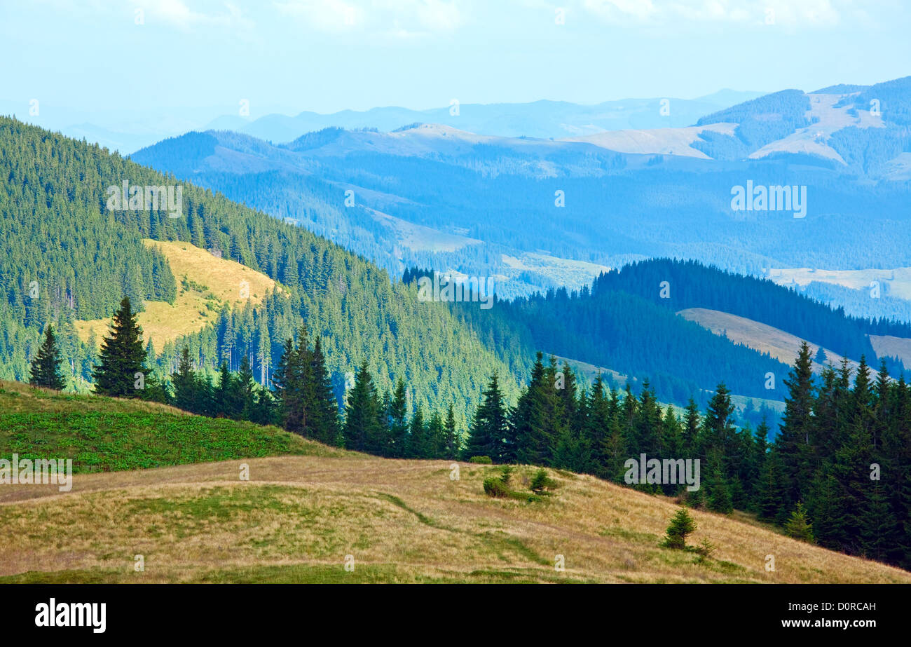 Estate paesaggio di montagna Foto Stock