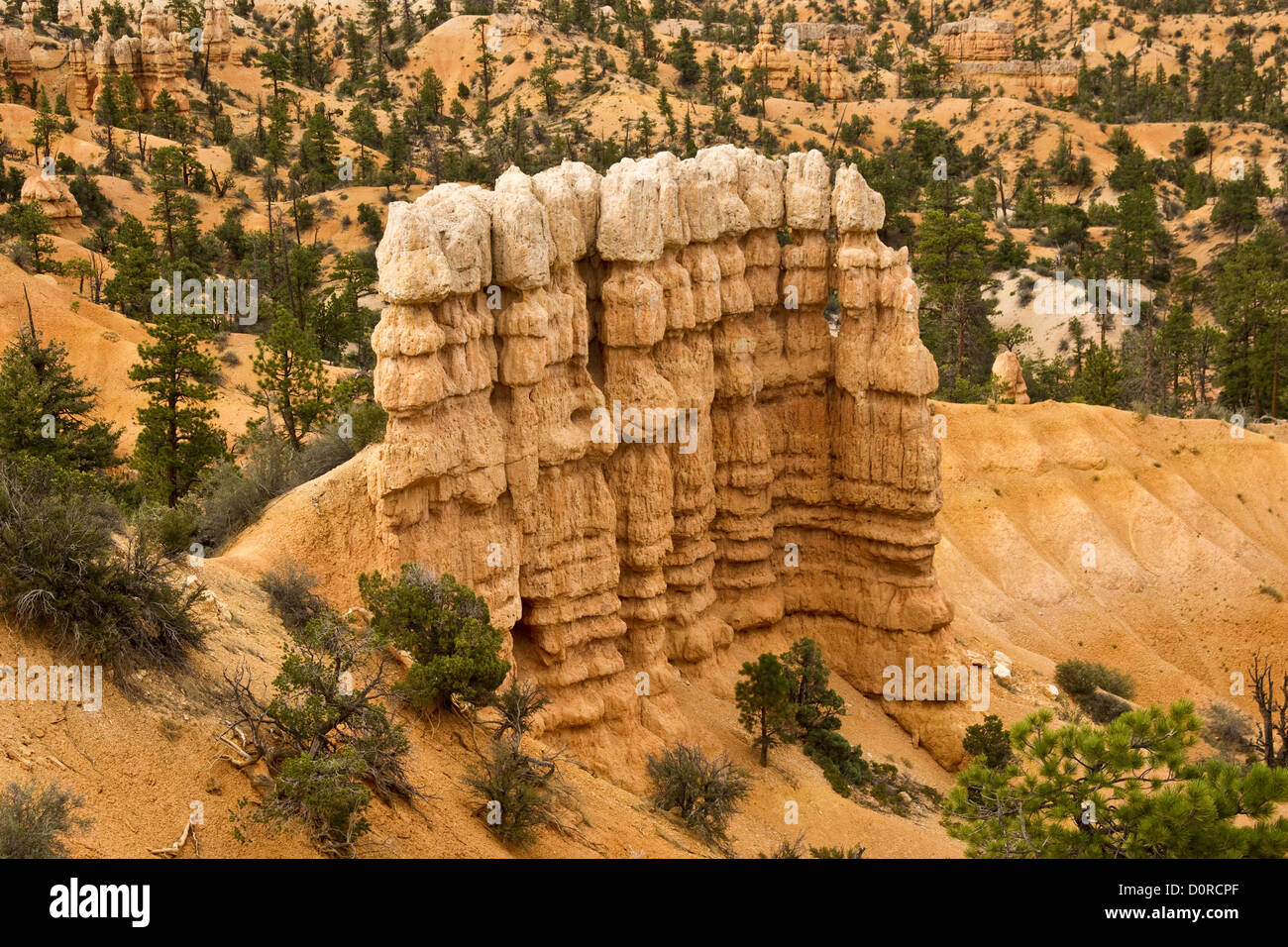 Bryce Canyon Rockscape Foto Stock