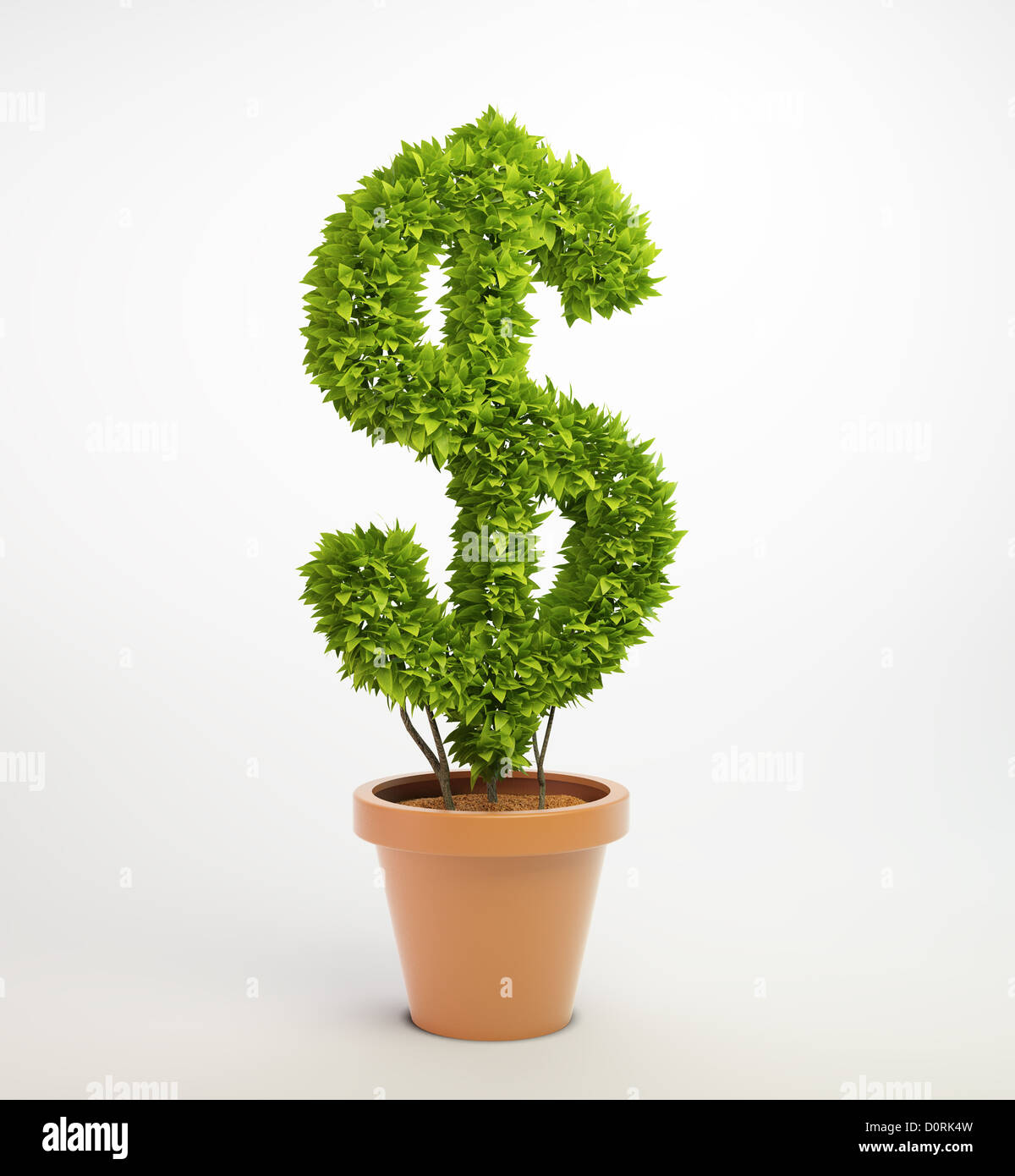 Potplant conformata come un simbolo di dollaro Foto Stock