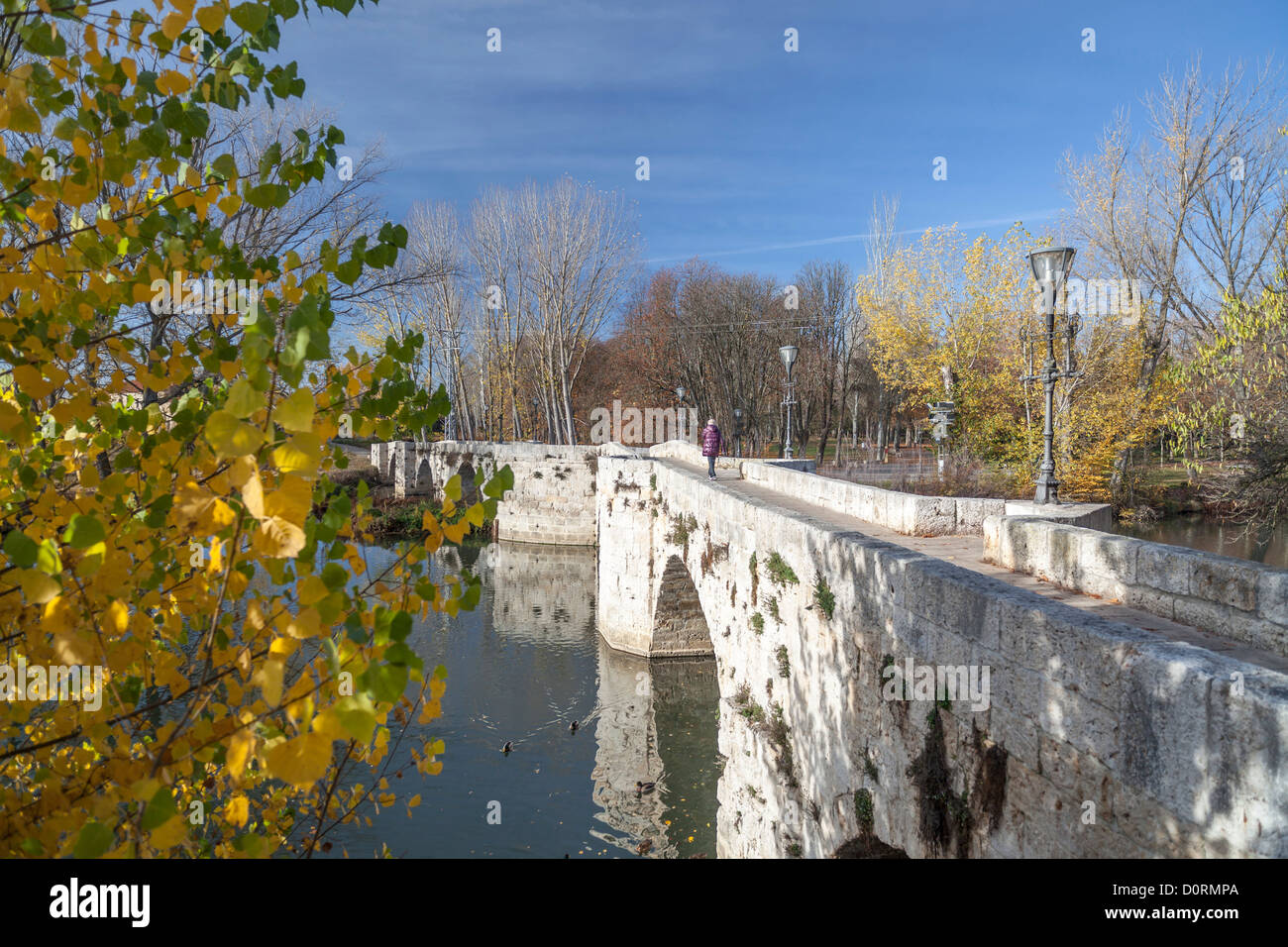Palencia,CASTILLA-leon,Spagna Foto Stock