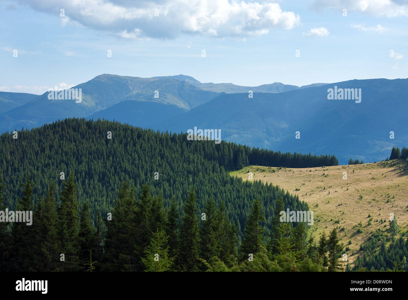 Estate paesaggio di montagna Foto Stock
