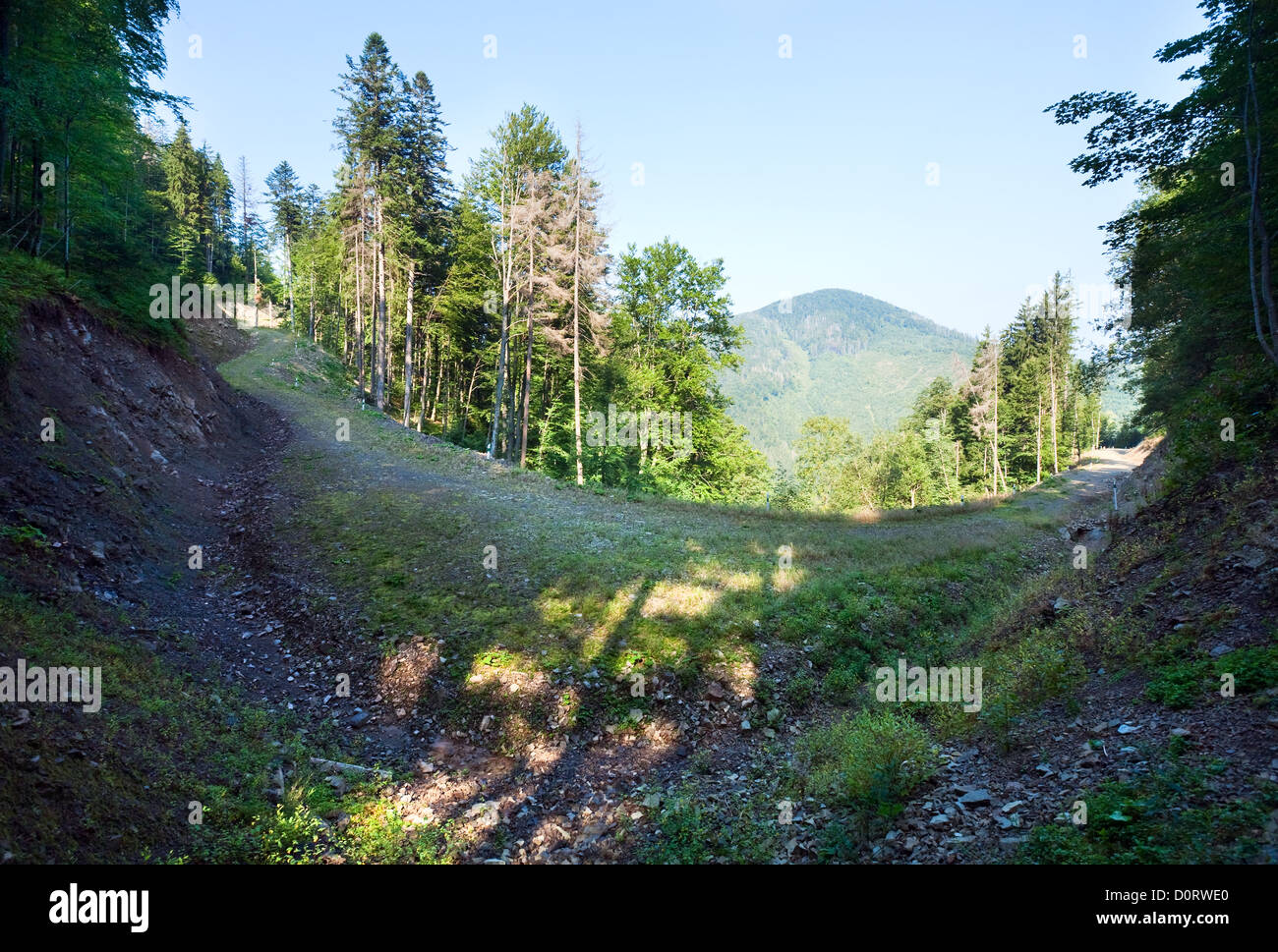 Estate paesaggio di montagna Foto Stock