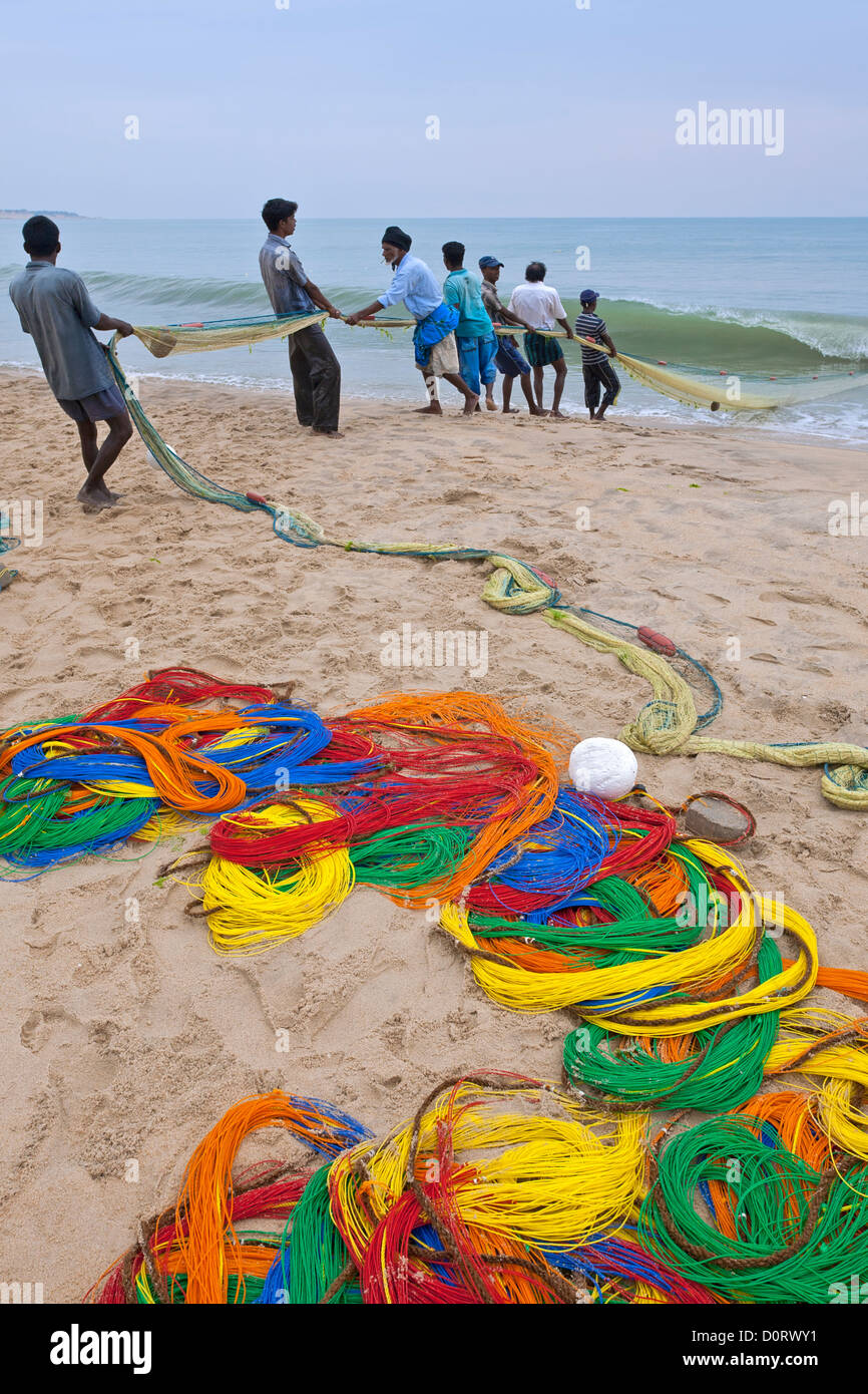 I pescatori tirando la rete da pesca. Arugam Bay. Sri Lanka Foto Stock