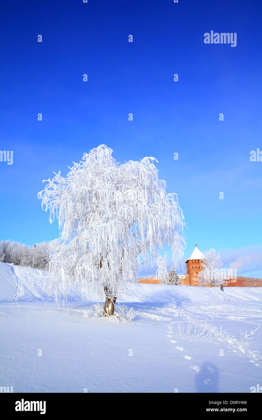 albero in neve Foto Stock