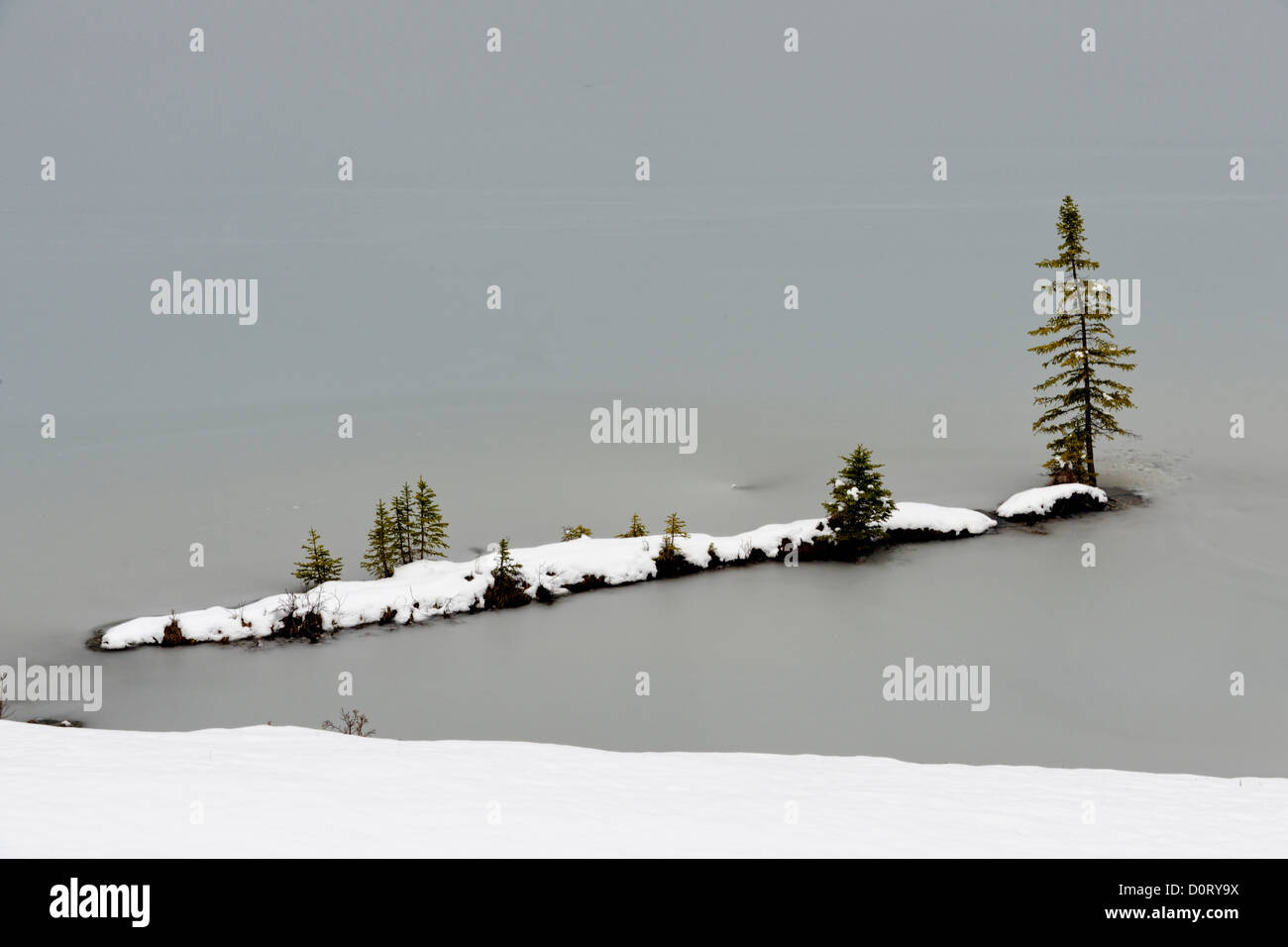 Un pino su una piccola isola vicino alla riva di due jack Lake, il Parco Nazionale di Banff, Alberta, Canada Foto Stock