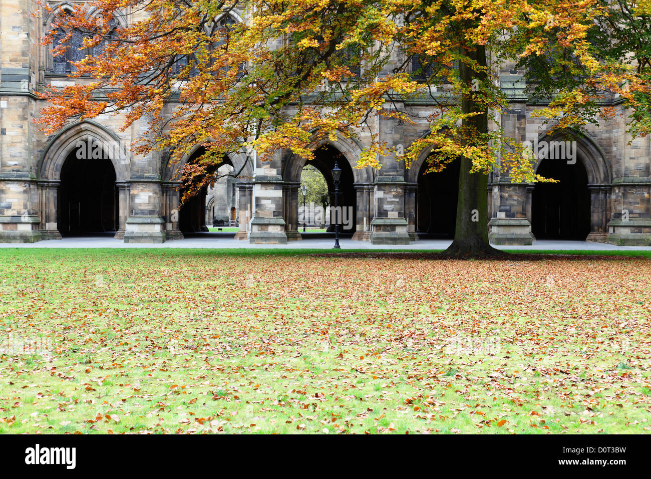 Il quadrangolo est in autunno presso l'Università di Glasgow sul campus Gilmorehill a Glasgow, Scotland, Regno Unito Foto Stock