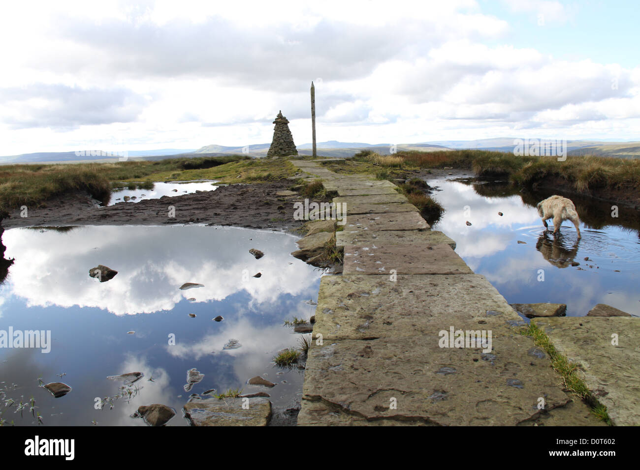 Buckden Pike, Yorkshire Dales National Park, Regno Unito Foto Stock