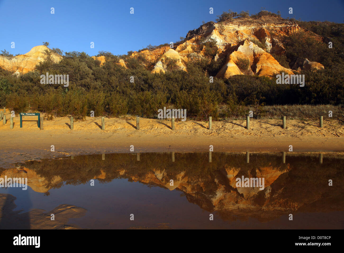 I pinnacoli Fraser Island, Queensland, Australia, turismo, attrazione, isola di sabbia, jeep, 4a ruota, 4WD, sunrise, sabbia, spiaggia, mare Foto Stock