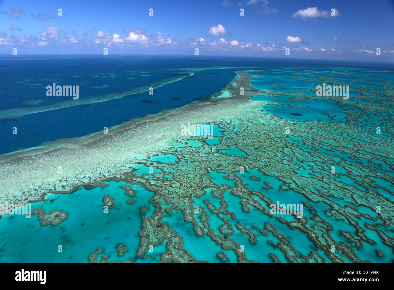 Hardy Reef della Grande Barriera Corallina natura elicottero Queensland Australia volo Isole Whitsunday reef dal volo di cui sopra Foto Stock