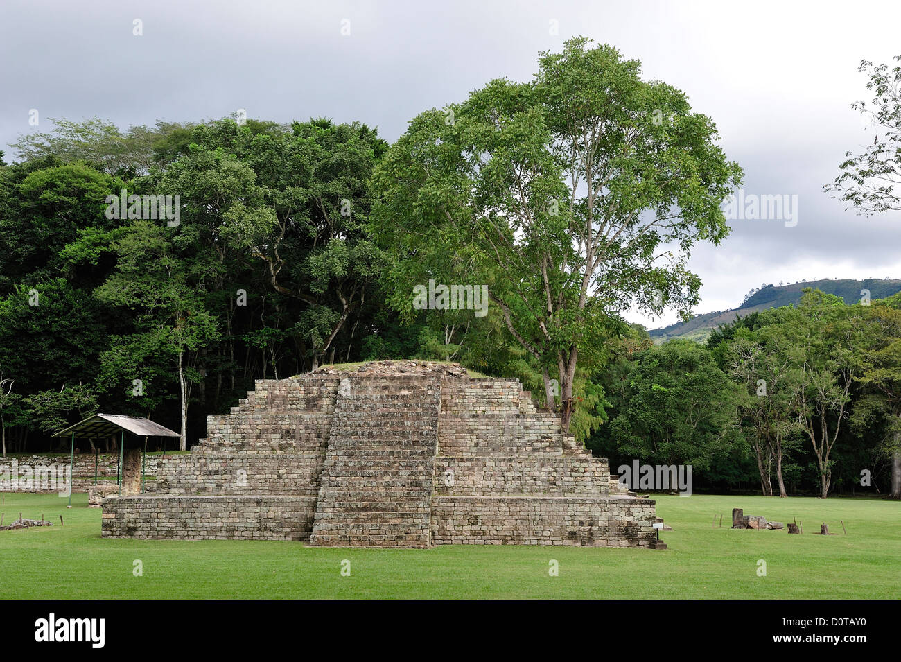 UNESCO World Heritage, sito, Museo, Parque Archeologico Copan, Copan, ruderi, America Centrale, Honduras, Maya, piramidi Foto Stock