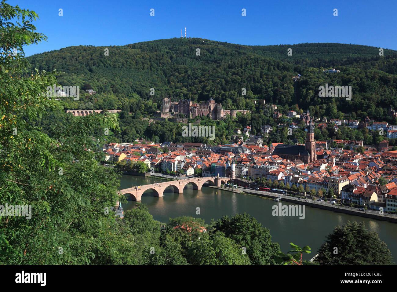 Germania, Heidelberg, Neckar, Reno Neckar area, riserva naturale, Neckartal-Odenwald, foresta di odi, strada di montagna, Odenwald, per Foto Stock
