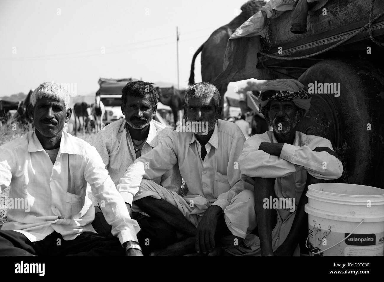 Commerciante di cammelli a Pushkar fair Foto Stock
