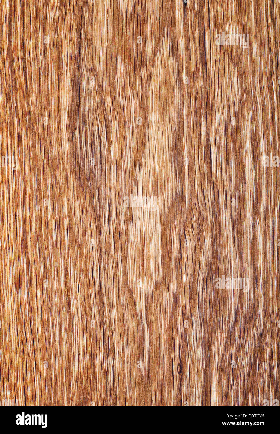 Texture di legno. vecchia quercia in close up Foto Stock