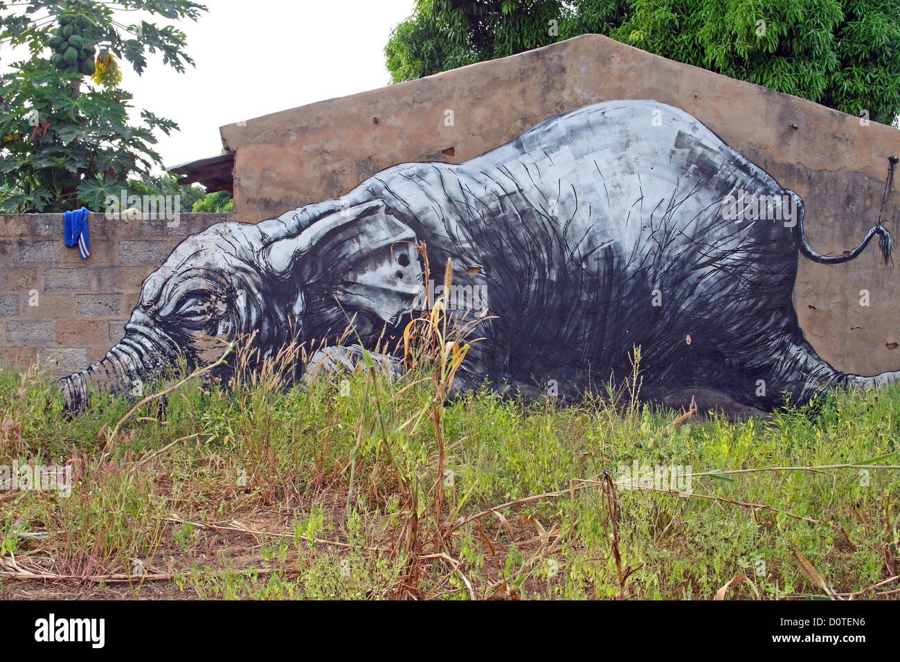Murale dalle ampie pareti aperte arte progetto di villaggio, Kubuneh, vicino Brikama, Gambia Foto Stock