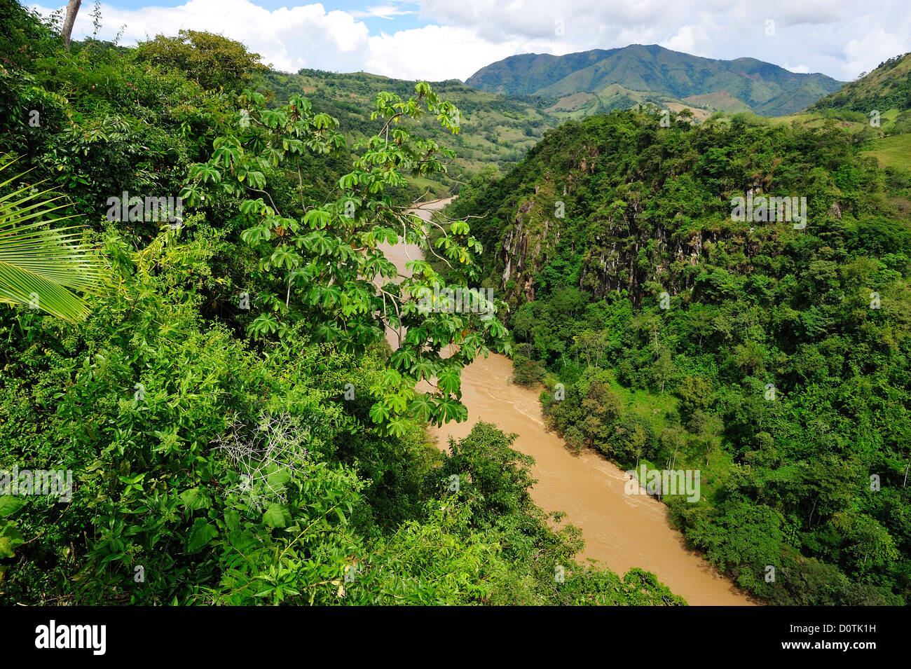 Canyon, il verde lussureggiante, Fiume, inondazioni, tropicali, Rio Cauca, paesaggio, Medellin, Colombia, Sud America, Fiume Foto Stock