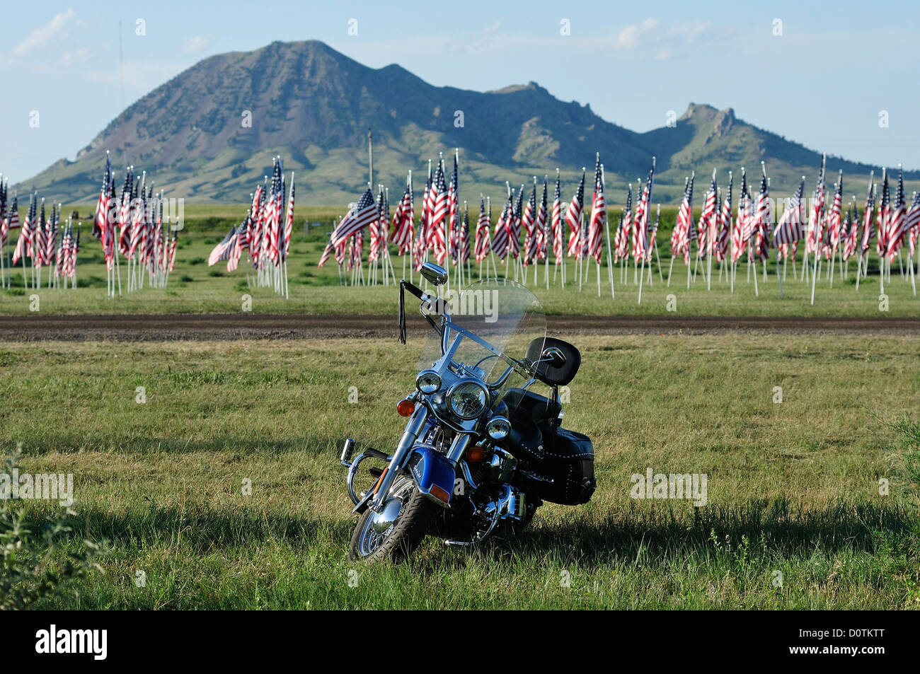 Bandierine americane, bandiere, Harley, Harley Davidson, bike, cavallo, libertà, prati, Sturgis, Dakota del Sud, Stati Uniti, Stati Uniti, Ameri Foto Stock