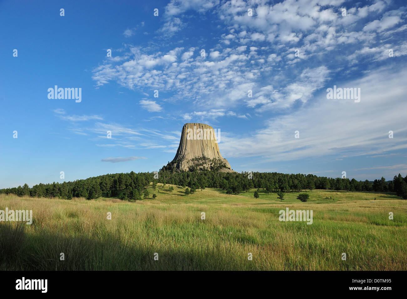 Devils Tower, monumento nazionale, Wyoming prairie, prati, vulcanico, basalto, torre, naturale, orizzontale, verticale, blu cielo, Foto Stock