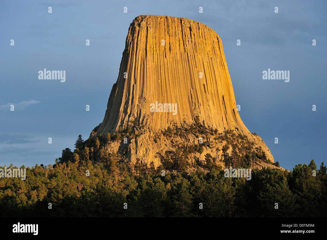 Devils Tower, monumento nazionale, Wyoming prairie, prati, vulcanico, basalto, torre, naturale, orizzontale, verticale, blu cielo, Foto Stock