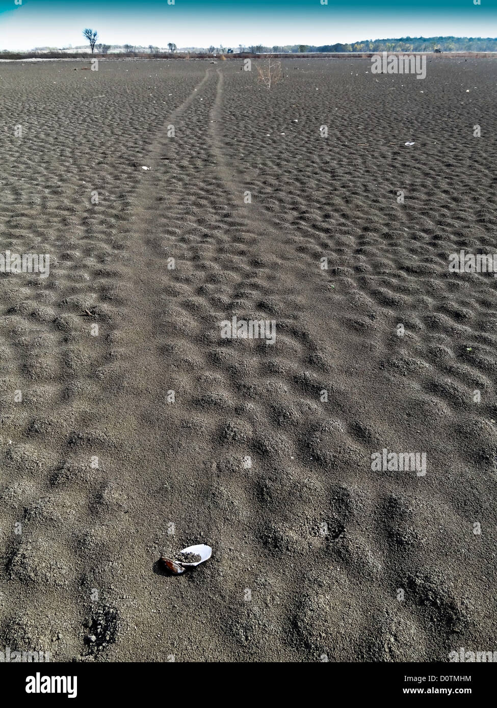 Asciugata, siccità, letto asciutto, acqua dolce, Hagerman, nazionale, la fauna selvatica, rifugio, fondo del lago, lago Texoma, sabbia, mare, conchiglie, seash Foto Stock