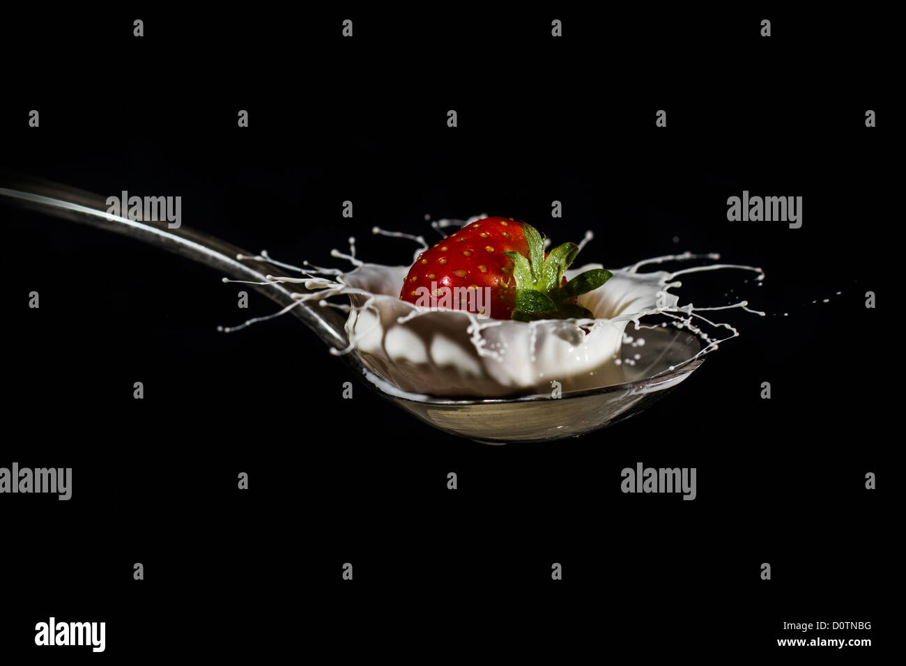 Bacche su un cucchiaio d'argento immagini e fotografie stock ad alta  risoluzione - Alamy