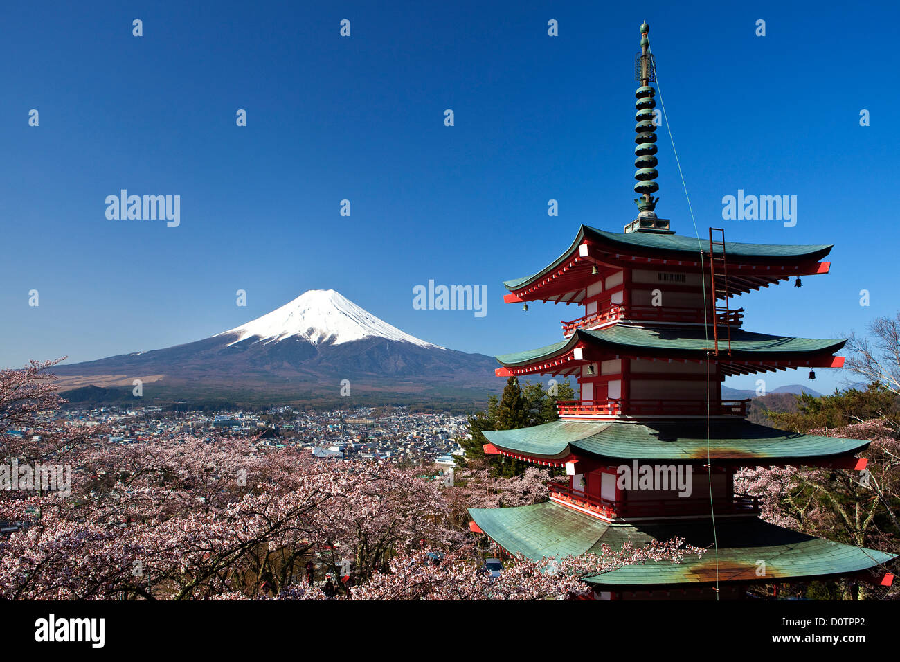 Giappone, Asia, vacanze, viaggi, fiori di ciliegio, Pagoda, Arakura, Sengen, Santuario, Fuji, il Monte Fuji, Fujiyama, Tsuru, paesaggio, mo Foto Stock Giappone, Asia, vacanze, viaggi, fiori di ciliegio, Pagoda, Arakura, Sengen, Santuario, Fuji, il Monte Fuji, Fujiyama, Tsuru, paesaggio, mo Foto Stock