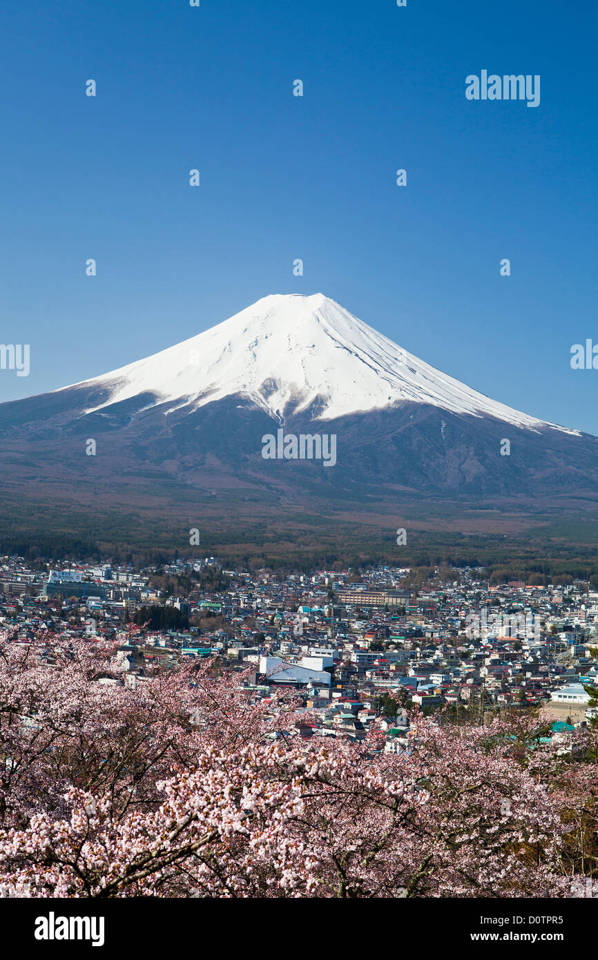 Giappone, Asia, vacanze, viaggi, fiori di ciliegio, Fujiyoshida, Fuji, il Monte Fuji, Fujiyama, Tsuru, paesaggio, montagna, neve, molla Foto Stock Giappone, Asia, vacanze, viaggi, fiori di ciliegio, Fujiyoshida, Fuji, il Monte Fuji, Fujiyama, Tsuru, paesaggio, montagna, neve, molla Foto Stock